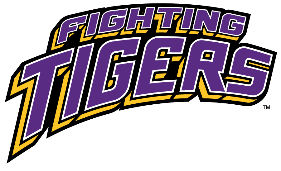 LSU Tigers 2002-2017 Wordmark Logo iron on transfers for T-shirts